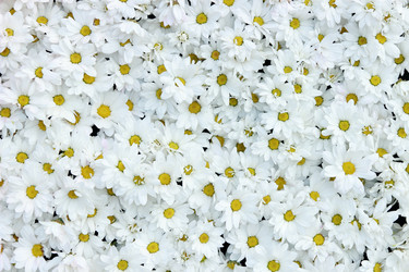 Similar image 11484858