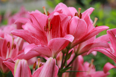 Similar image 11484874