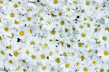 Similar image 11484893