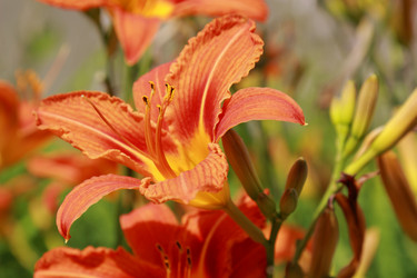 Similar image 11484894