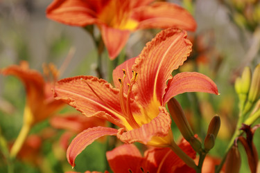 Similar image 11484989