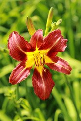 Similar image 11485011