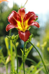 Similar image 11485030