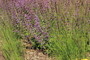 Similar image 11485094