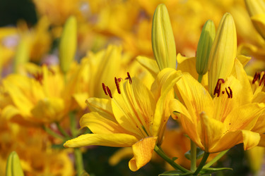 Similar image 11484355