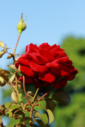 Similar image 11484371