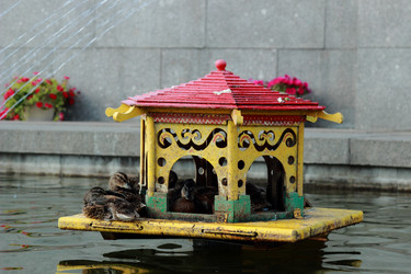 Similar image 11484456