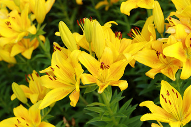 Similar image 11484496