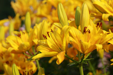 Similar image 11484632