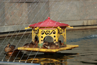 Similar image 11484633