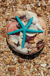 Similar image 11484193