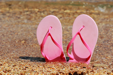 Similar image 11484357