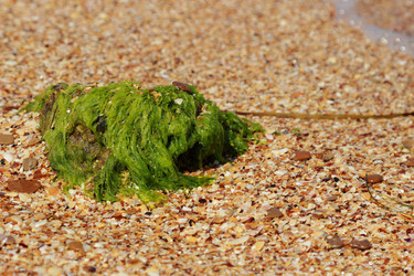 Similar image 11484554