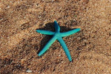 Similar image 11484614