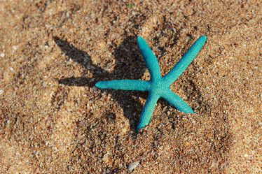 Similar image 11484615