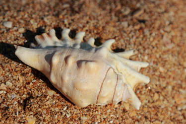 Similar image 11484616