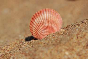 Similar image 11484636