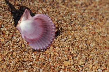 Similar image 11484716