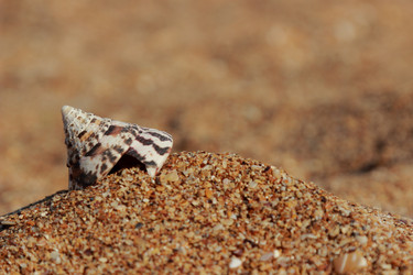 Similar image 11484737