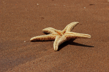 Similar image 11484837