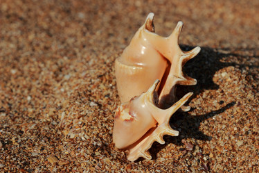 Similar image 11484918