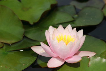 Similar image 11484457