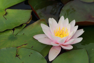 Similar image 11484477