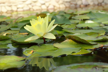 Similar image 11484361