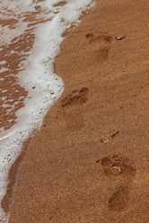 Similar image 11484661