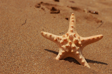 Similar image 11485015