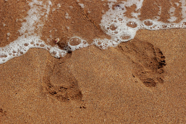 Similar image 11485110