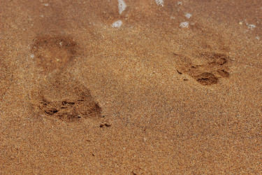 Similar image 11485111