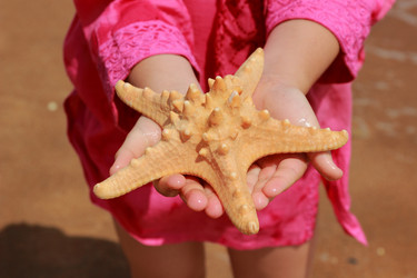 Similar image 11484277