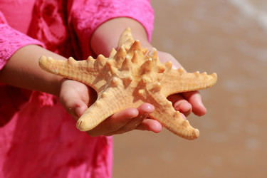 Similar image 11484298