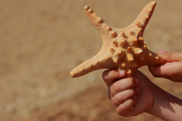 Similar image 11484317