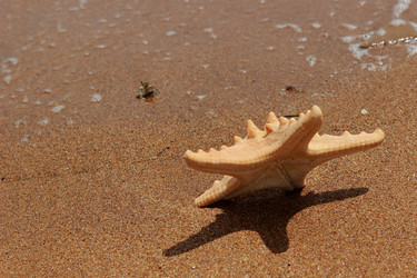 Similar image 11484338