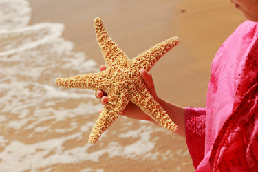 Similar image 11484378