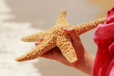 Similar image 11484379