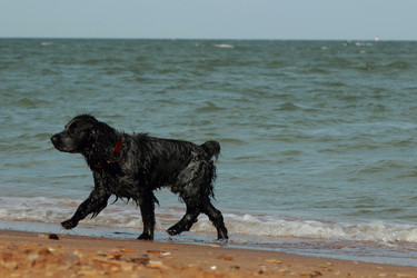 Similar image 11484559