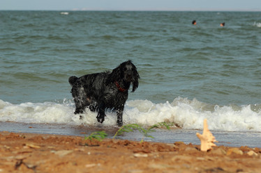 Similar image 11484600