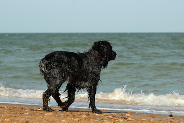 Similar image 11484601