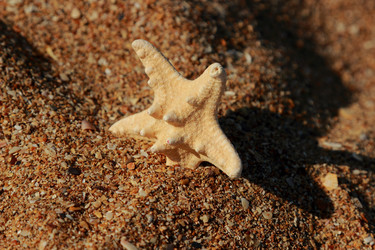 Similar image 11484618