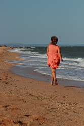 Similar image 11498179