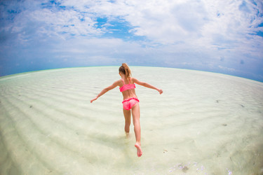 Similar image 11497423