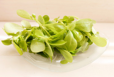 Similar image 11493258