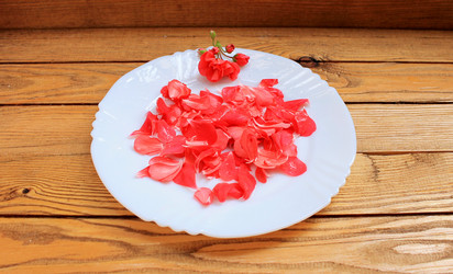 Similar image 11493244