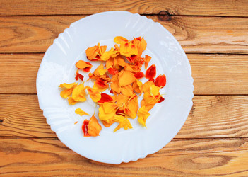 Similar image 11493264