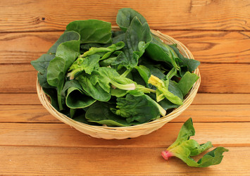 Similar image 11493176