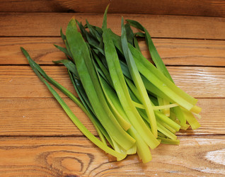 Similar image 11493177