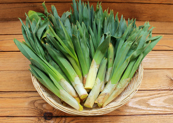 Similar image 11493185